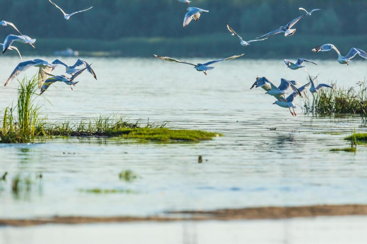 Гостинний Двір На Хуторі Хрещатик Dış mekan fotoğraf